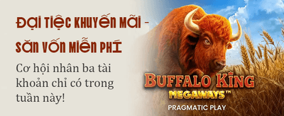 Khám phá thế giới giải trí