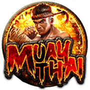 Võ Sĩ Quyền Anh game icon